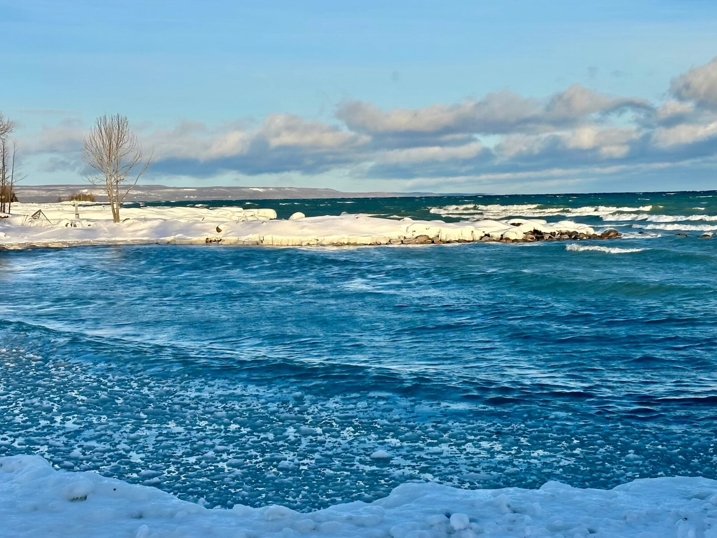 Lora Bay