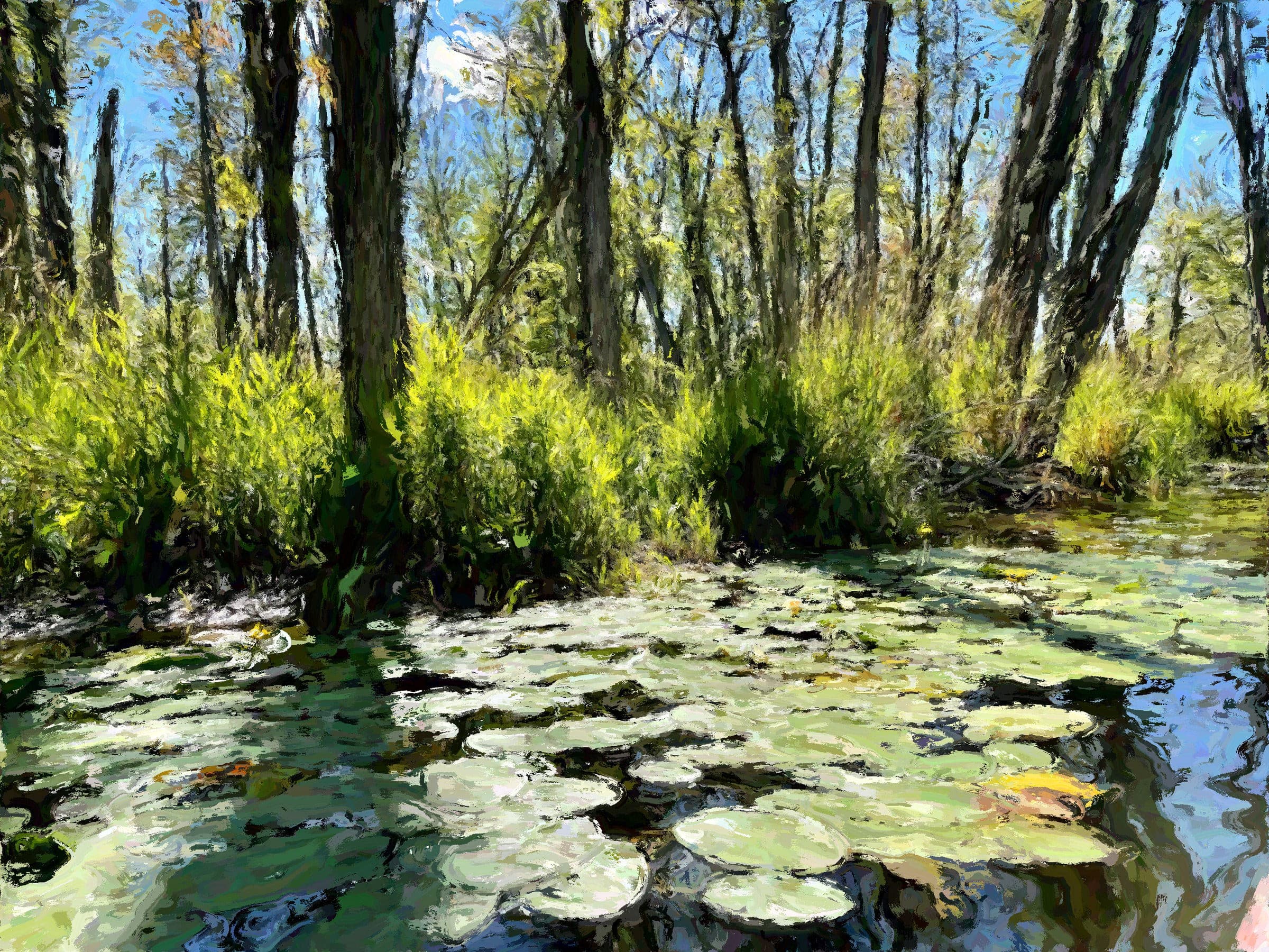 Beaver River Access