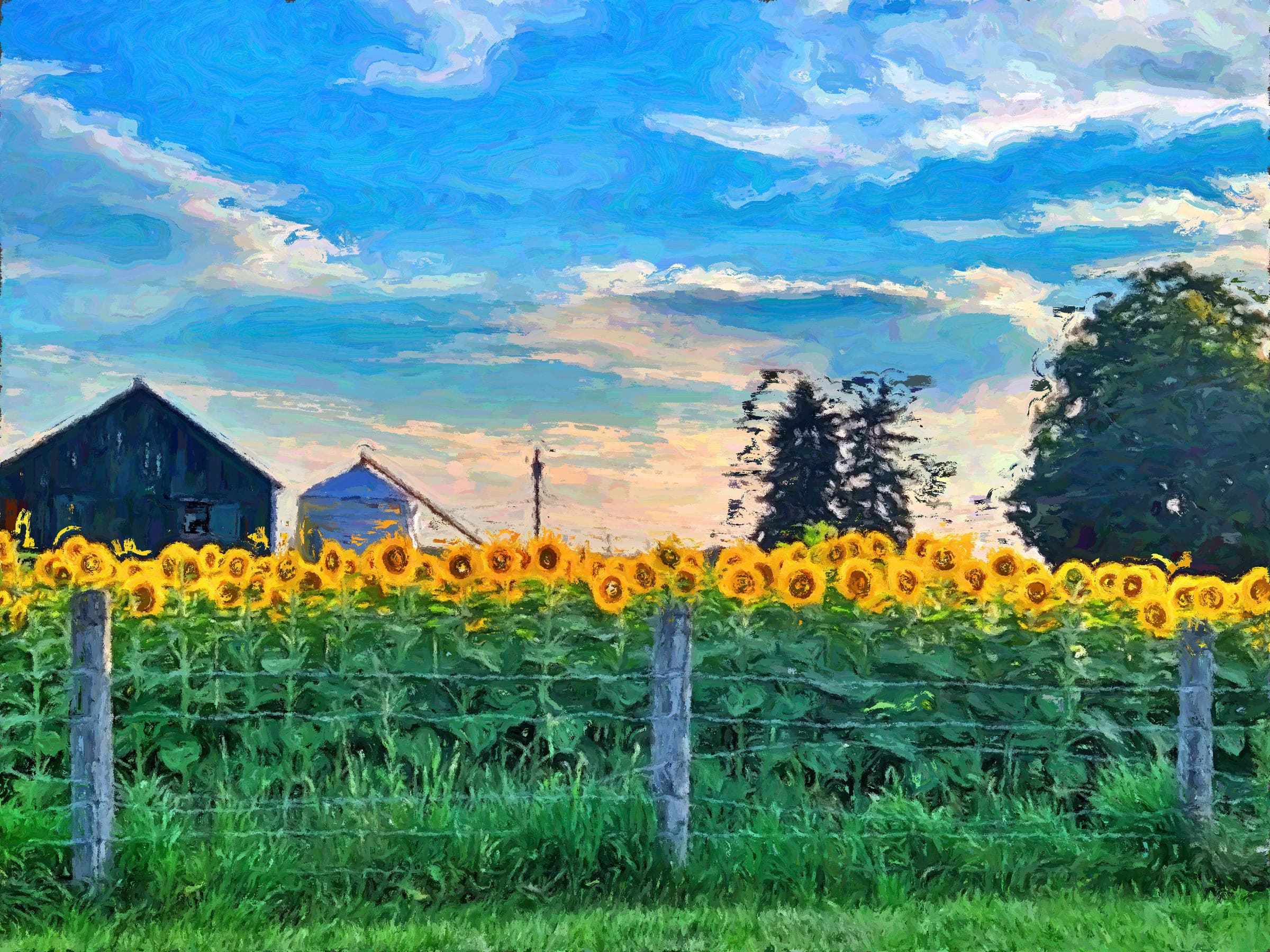 Local Farm