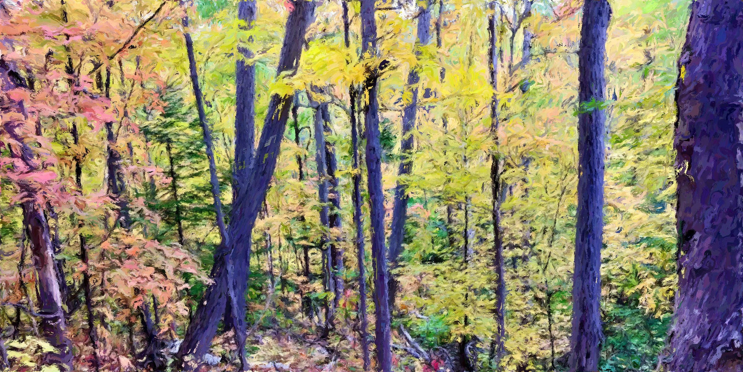 Blue Mountain Trail