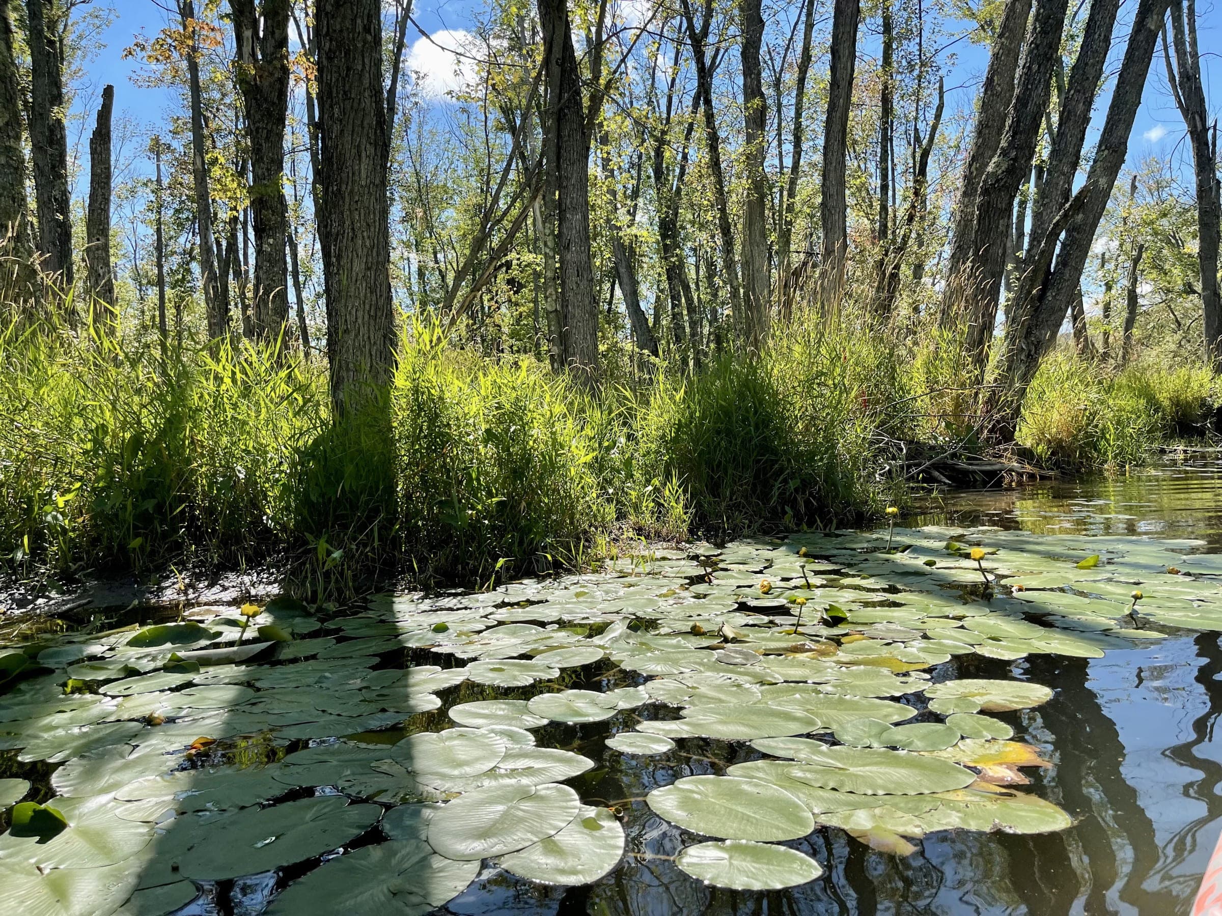 Beaver River: Access Point 2